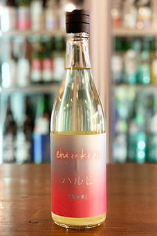 Shirakiku ハルヒ 恋の華 無濾過生原酒 2023年醸造