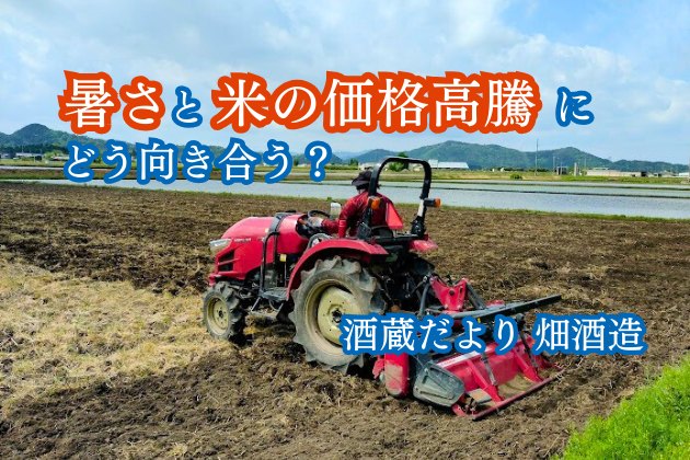 暑さと米の価格高騰にどう向き合う？土づくりから挑む、畑酒造 2025年の米づくり【酒蔵だより・畑酒造】 