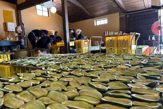 【酒蔵だより：森酒造場】飛鸞の梅酒、奈良漬、新商品をレポート 