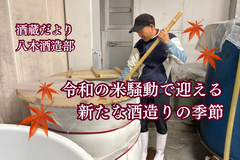 令和の米騒動下で迎える新たな酒造りの季節【酒蔵だより：八木酒造部】