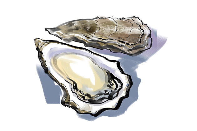 生牡蠣に合う日本酒はコレ！おすすめ5選 