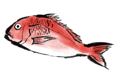 真鯛（白身魚）の刺身に合う日本酒はコレ！おすすめ4選