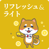 リフレッシュ & ライト