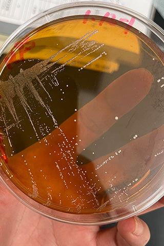 Re:vive Origin アカツキ