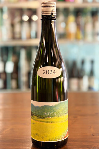 あべ VEGA 2024 vol.4-1